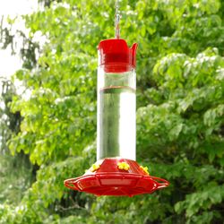 Perky-Pet Hummingbird 30 oz Glass/Plastic Nectar Bird Feeder 6 ports