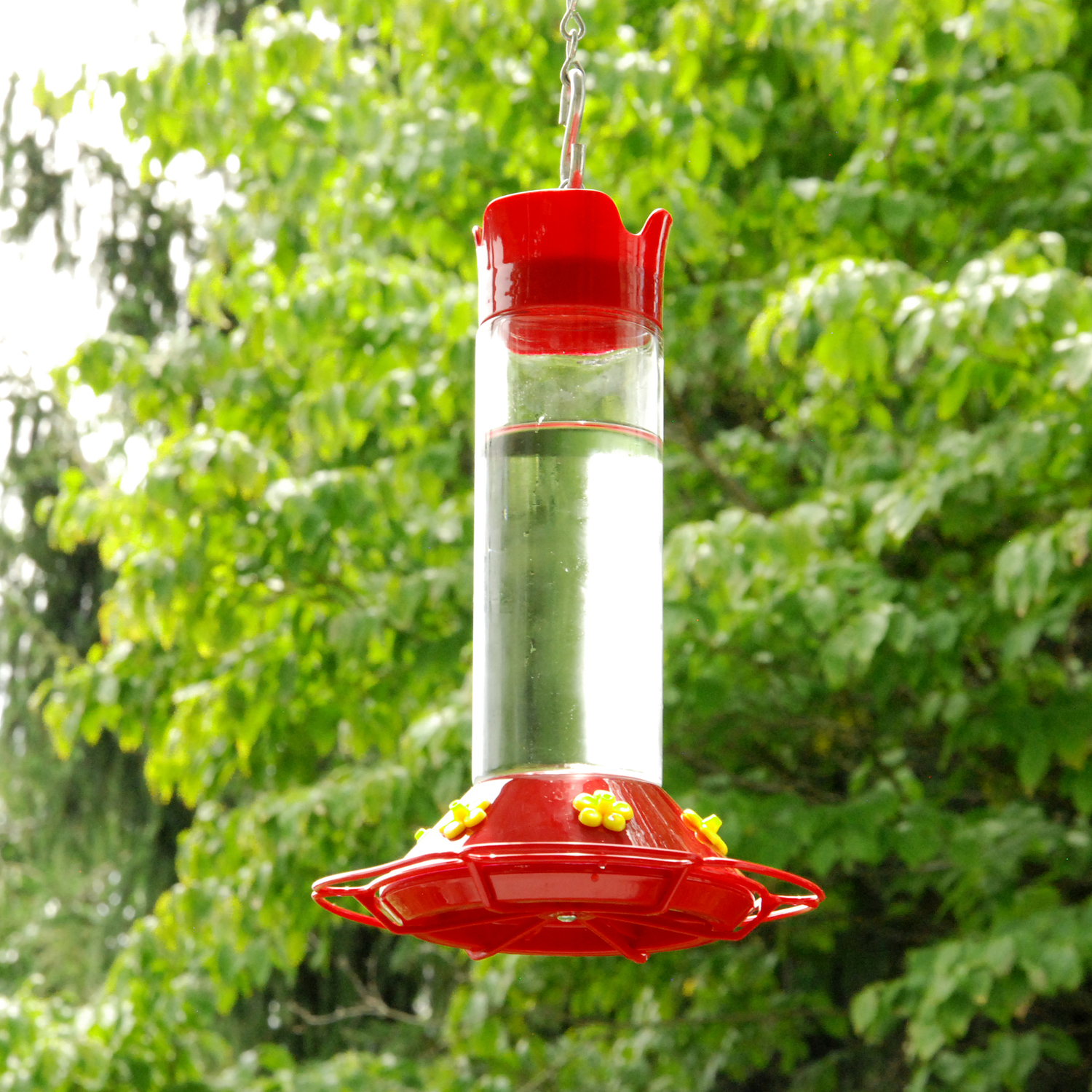 image-2
