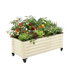 Vego Garden 48 in. H X 21 in. W Metal Garden Bed Pearl White