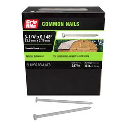 Grip-Rite 12D 3-1/4 in. Common Hot-Dipped Galvanized Steel Nail Flat Head 5 lb