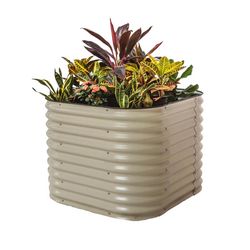 Vego Garden 32 in. H Metal 4 in 1 Raised Garden Bed Pearl White
