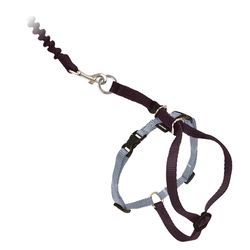 PetSafe Come with me kitty Black Harness & Leash Nylon Cat Leash and Harness Large