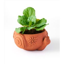 Matr Boomie 4 in. H X 6 in. W X 7 in. D X 4.5 in. D Terracotta Snail Planter Terracotta