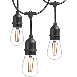 Newhouse Lighting LED Cottage,Farmhouse,Industrial LED Light String Clear 48 ft. 16 lights