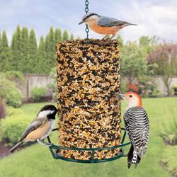 Kaytee Wild Bird Seed 28.5 oz