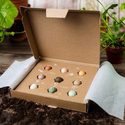 Blossombs Medium Box Flowers for Mom Assorted Flower Grow Kit 9 pk