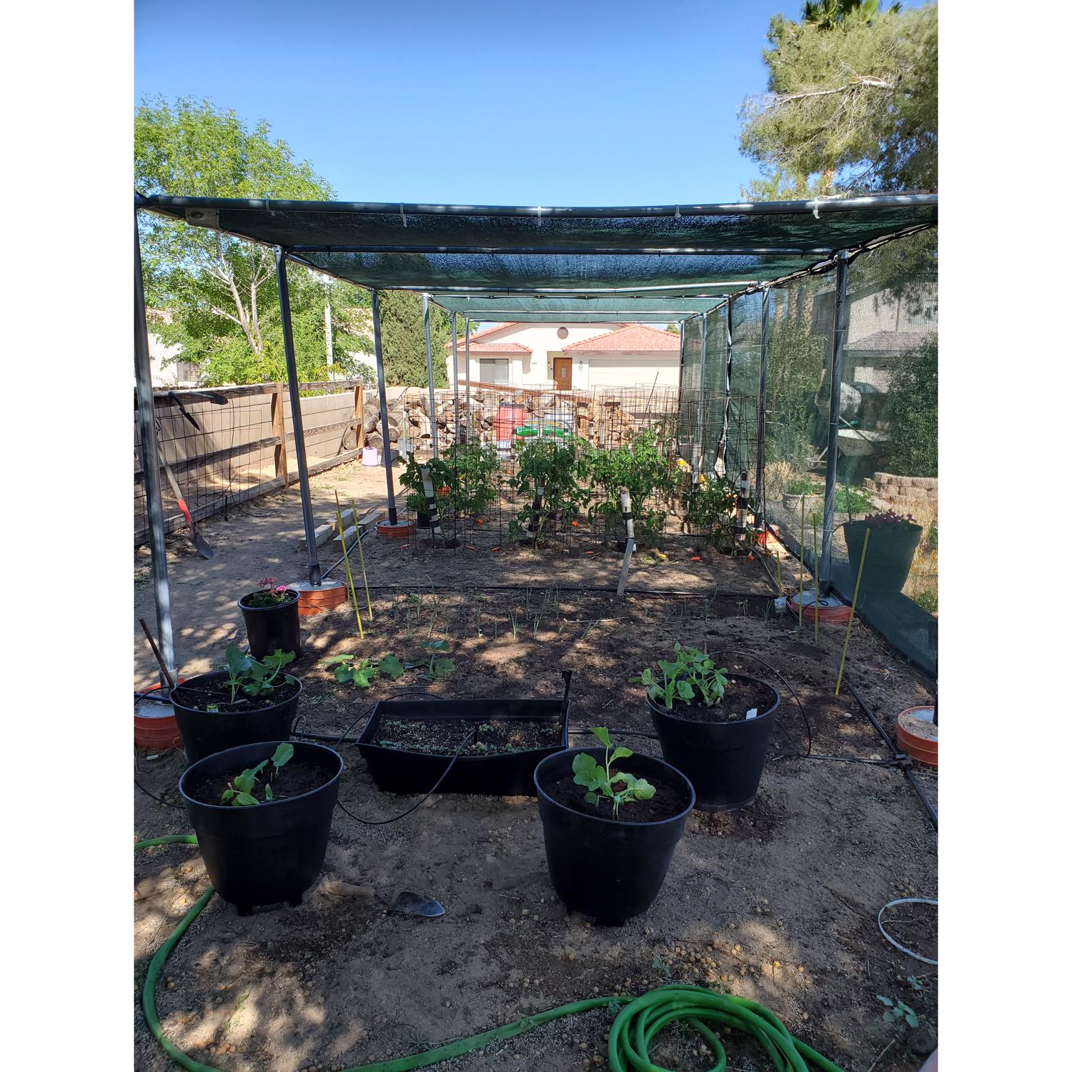 image-3