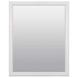 Zenna Home 25 in. H X 20 in. W Bathroom Mirror Matte White