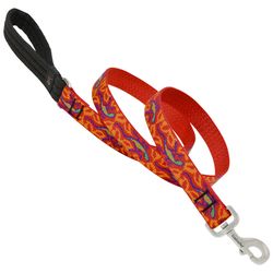 LupinePet Original Designs Multicolor Go Go Gecko Nylon Dog Leash