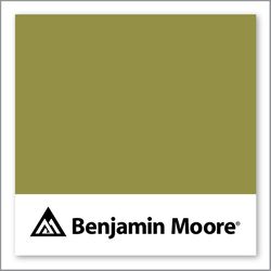 Benjamin Moore Olive Moss 2147-20
