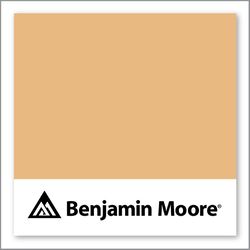 Benjamin Moore Golden Mist 2158-40
