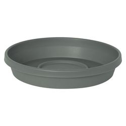 Bloem Terra 0.75 in. H X 3.75 in. W X 3.25 in. D Plastic Traditional Plant Saucer Basil