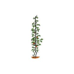 Bosmere 6 in. H Green Metal Plant Support