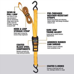 DeWalt 1.25 in. W X 14 ft. L Cam Buckle 670 lb 2 pk