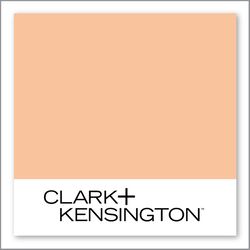 Clark+Kensington Orange You Sweet 12C-4