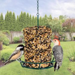 Kaytee Wild Bird Seed 7.4 oz