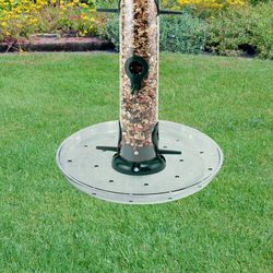 Audubon 10.38 in. H X 10.38 in. W X 1.25 in. D Wild Bird Food Preserver