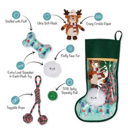 Fringe Studio Petshop For Dog Multicolored Plush/Rope Happy Pawlidays Dog Toy 5 pk