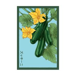 Chive Shido Seed Co. Zucchini Seeds 1 pk