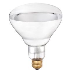 Westinghouse 125 W R40 Heat Lamp Incandescent Light Bulb Medium Base Clear 2 pk
