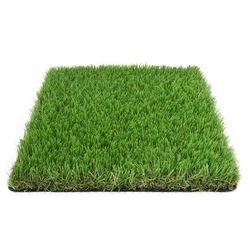 SeeGreen 5 ft. W X 7 ft. L Green Polyethylene Astroturf