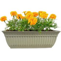 Misco Milano 6.15 in. H X 7.5 in. W Plastic Window Box Stone