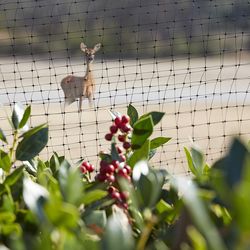 Greenscapes 21 ft. L X 7 ft. W Garden Netting