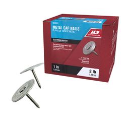 Ace 1 in. Roofing Electro-Galvanized Steel Nail Flat Head 3 lb