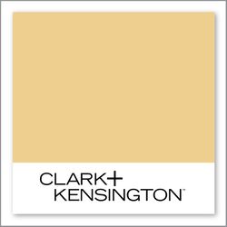 Clark+Kensington Golden Ticket 19B-4