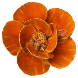 Chive France 1.97 in. H X 4.13 in. L Glazed Orange Ceramic Lotus Wall Flower