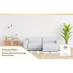 Evolve Terra Flat White Paint and Primer Exterior and Interior 1 gal