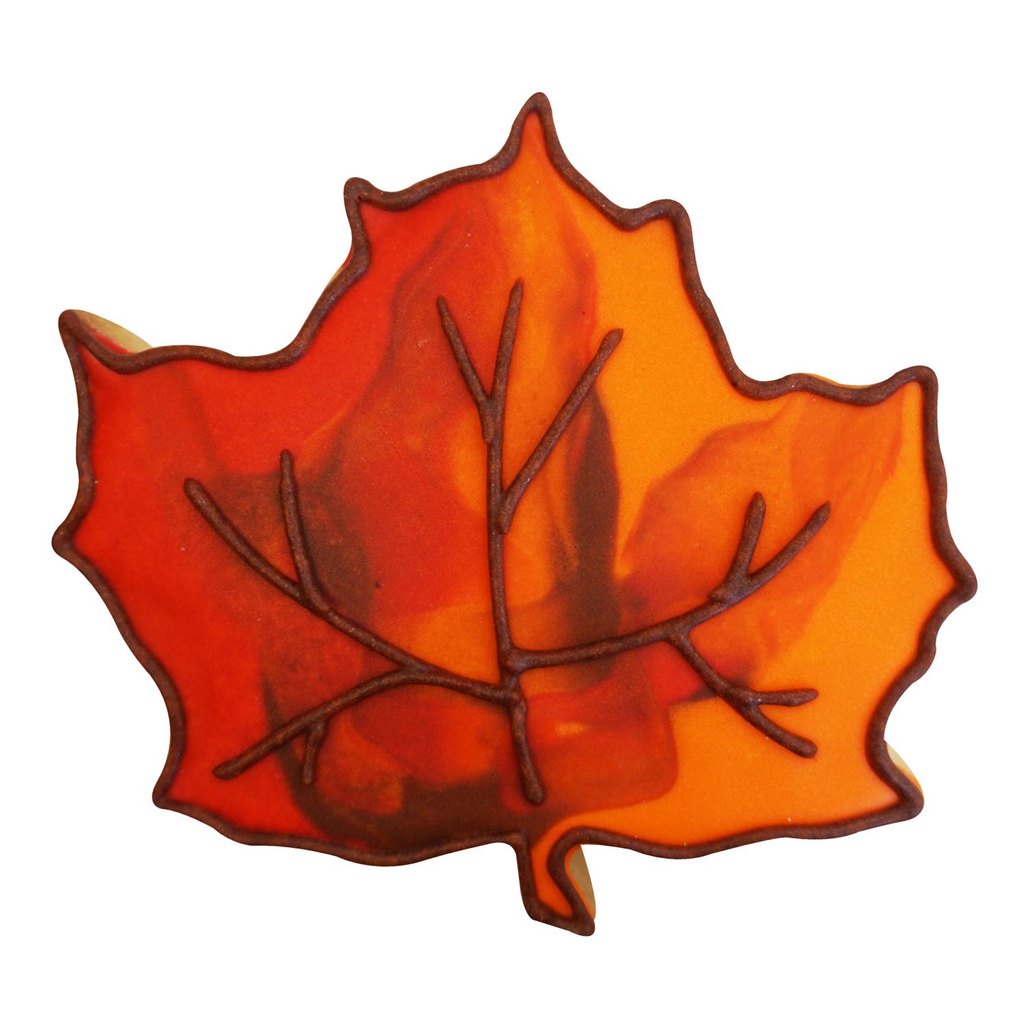 image-3