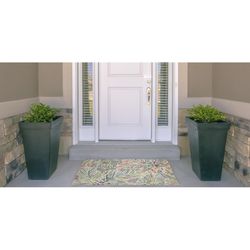Linon Home Decor 2 ft. W X 3 ft. L Multi-Color Luisser Polyester Accent Rug