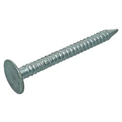 Grip-Rite 1-5/8 in. Drywall Bright Steel Nail Flat Head 1 lb