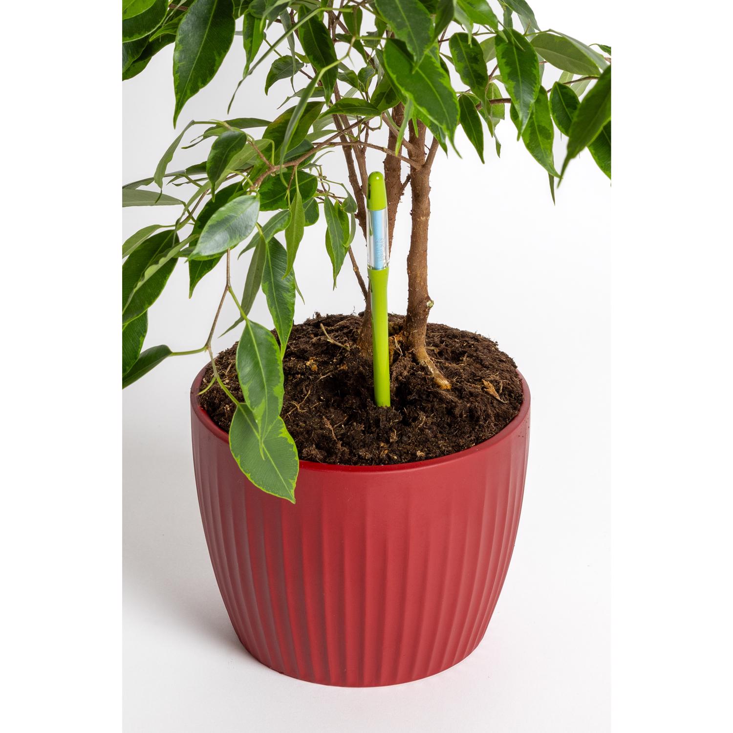 image-3