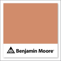 Benjamin Moore Pumpkin Patch 055