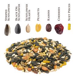 Songbird Selections Songbird Crunch Songbird Wild Bird Food 5 lb
