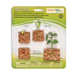 Safari Ltd. Safariology Green Bean Plant Life Cycle