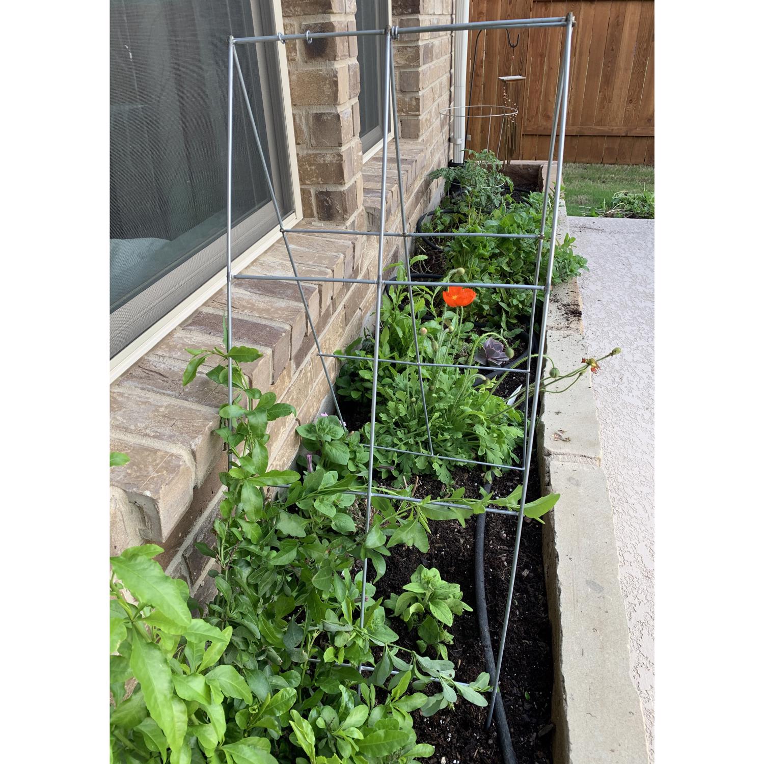 image-3
