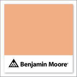 Benjamin Moore Toffee Orange 2167-40