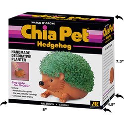 Chia Pet Hedgehog Decorative Planter Clay 1 pk