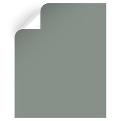 Magnolia Home by Joanna Gaines Silverado Sage Peel & Stick Color Sample MAG007