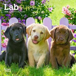 BrownTrout Publishers Lab Puppies 2026 Calendar