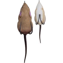 Lunkerhunt Fishing Lure 1.4 in.