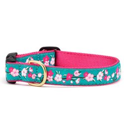 Up Country Multicolor Cherry Blossoms Nylon Dog Collar X-Large