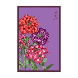 Chive Shido Seed Co Assorted Flower Seeds 1 pk