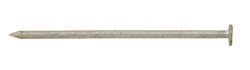 Ace 16D 3-1/2 in. Box Hot-Dipped Galvanized Steel Nail Flat Head 5 lb