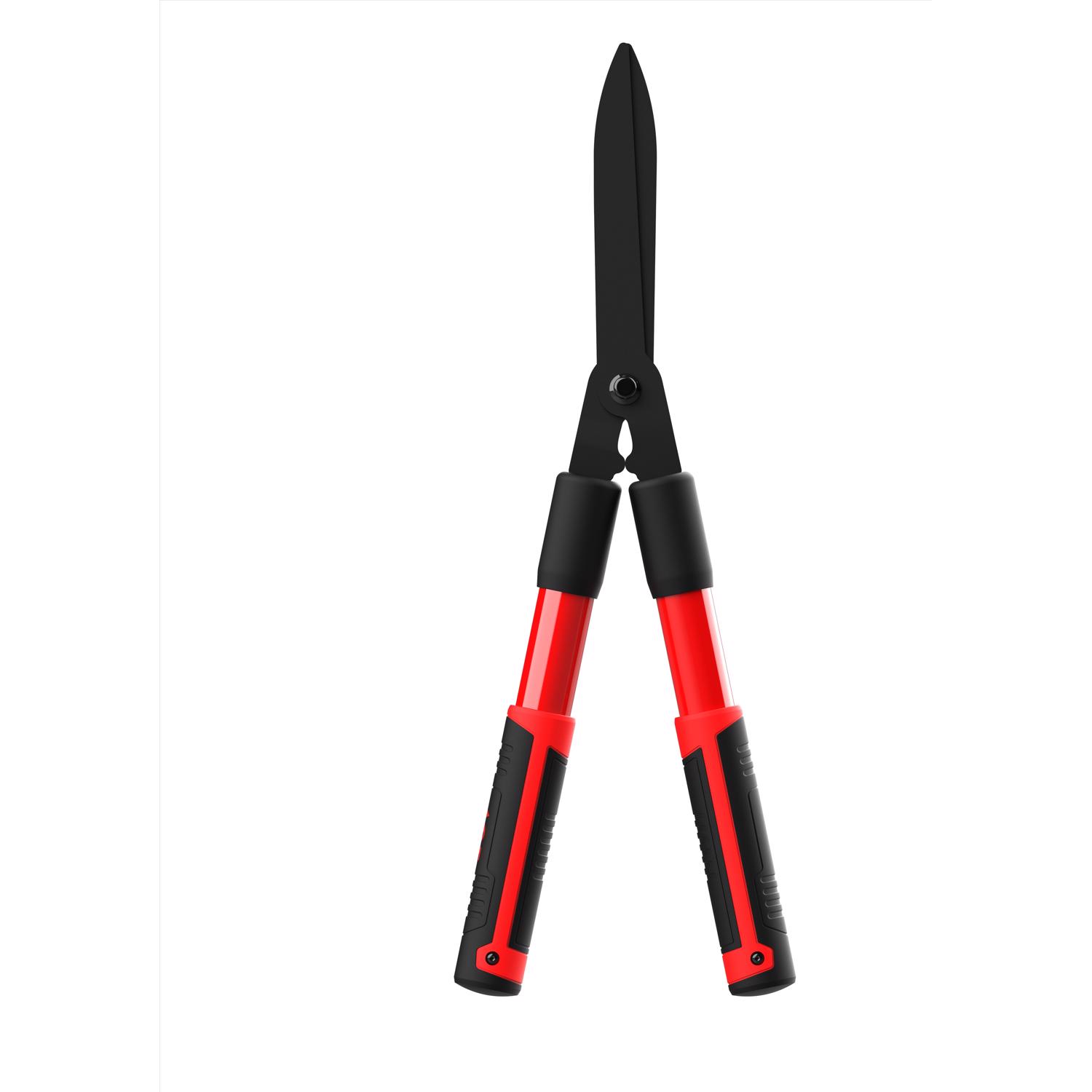 image-3