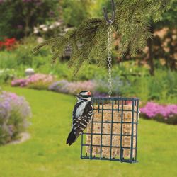 Woodlink Wild Bird Metal Suet Cage