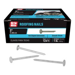 Grip-Rite 2 in. Roofing Hot-Dipped Galvanized Steel Nail Flat Head 1 lb